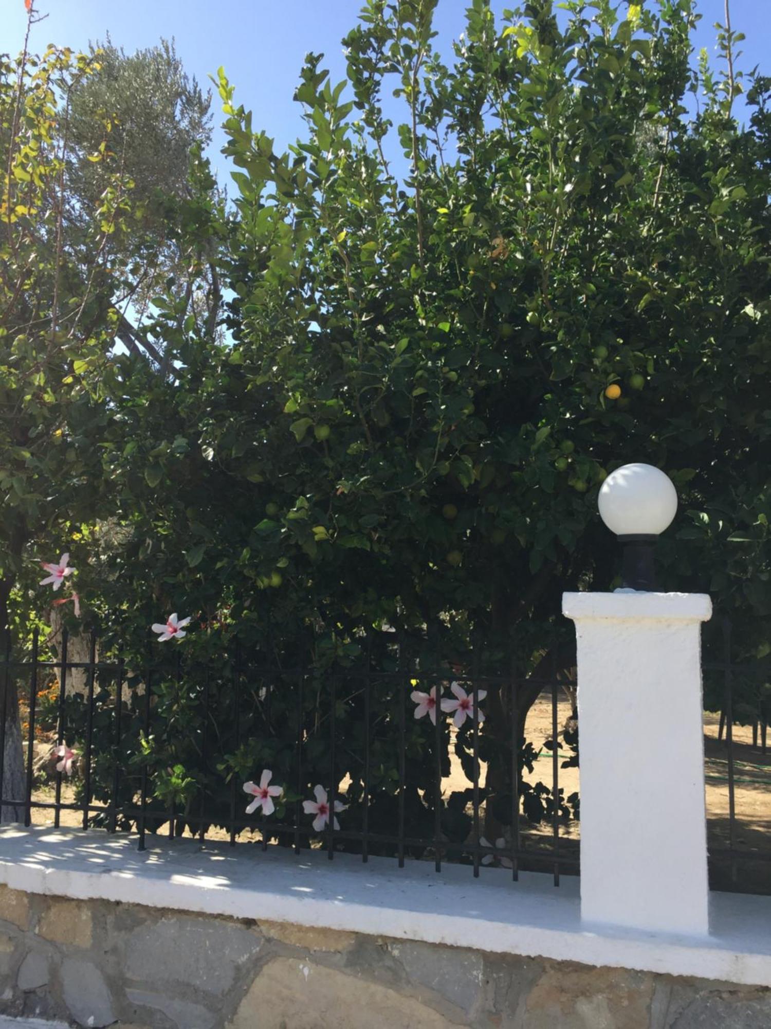 Livanina Apartments Kampos Marathokampou Екстер'єр фото